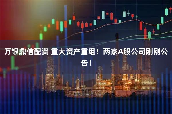 万银鼎信配资 重大资产重组！两家A股公司刚刚公告！