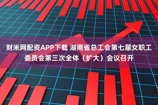 财米网配资APP下载 湖南省总工会第七届女职工委员会第三次全体（扩大）会议召开