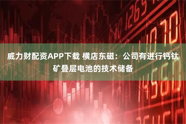 威力财配资APP下载 横店东磁：公司有进行钙钛矿叠层电池的技术储备