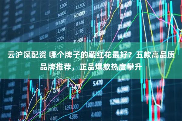 云沪深配资 哪个牌子的藏红花最好？五款高品质品牌推荐，正品爆款热度攀升