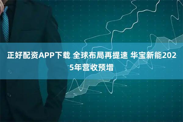 正好配资APP下载 全球布局再提速 华宝新能2025年营收预增