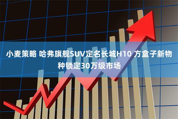 小麦策略 哈弗旗舰SUV定名长城H10 方盒子新物种锁定30万级市场