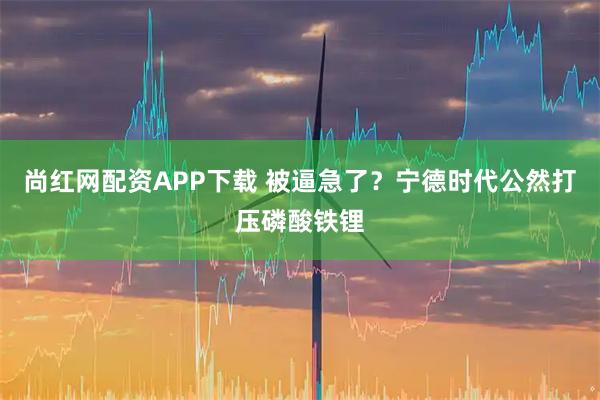 尚红网配资APP下载 被逼急了？宁德时代公然打压磷酸铁锂